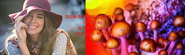 экстази Алексеевка