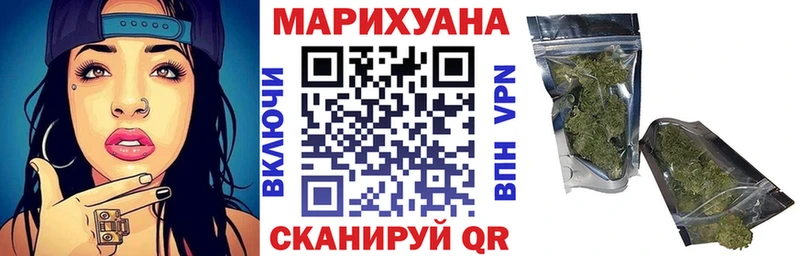 Бошки Шишки гибрид  Белоозёрский 